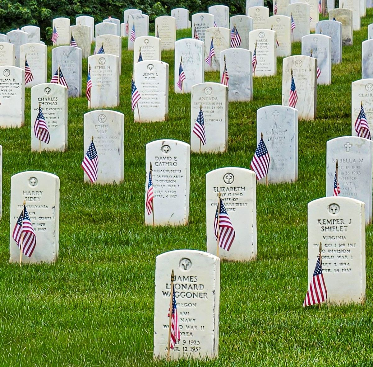 Rows of white marble headstones at Arlington National Cemetery, each with a small American flag